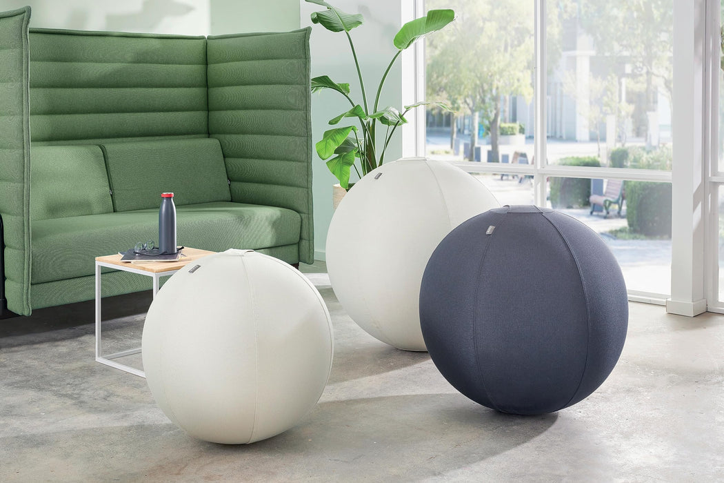 Leitz Active Sit Ball 65cm Anti-Roll-Away Dark Grey - 65420089