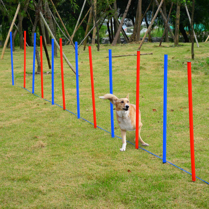 PawHut Pet Agility Set 12x Steel Stakes, 2x Spikes, 1x String. Blue, Red