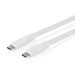 Nedis USB Cable - USB 3.2 Gen 1, USB-C Male, USB-C Male, White - Box