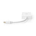 Nedis DisplayPort Adapter - Mini DisplayPort Male, DVI-D 24+1-Pin Female / HDMI Female / VGA Female, 4K@60Hz, White - Polybag