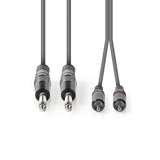 Nedis Stereo Audio Cable - 2x 6.35 mm Male, 2x RCA Male, Nickel Plated, Dark Grey - Carton Sleeve