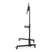 Nedis TV Floor Stand - 32-55", Maximum supported screen weight: 35 kg, Premium Column Design, Steel - Black