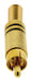 Valueline Connector RCA Male Gold/Black