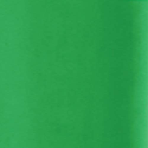 Best Value Paper Mate Flair Felt Tip Pens, Medium Point (0.7mm), Green, Box of 12