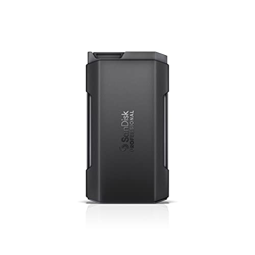 SanDisk Professional PRO-BLADE TRANSPORT - SSD - 2 TB - external