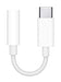 Apple USB-C to 3.5 mm Headphone Jack Adapter - USB-C to headphone jack adapter - USB-C male to stereo mini jack female - for 10.9-inch iPad Air (4th generation), 11-inch iPad Pro (1st generation), 12.9-inch iPad Pro