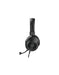 Trust HS250 USB Stereo Headset Black