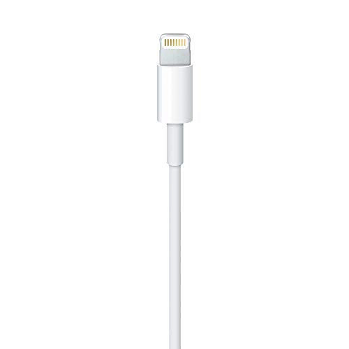 Apple - Lightning cable - Lightning male to USB male - 1 m - for iPad/iPhone/iPod (Lightning)