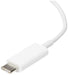 Apple Magnetic - Smart watch charging cable - USB-C male - 30 cm - for Watch