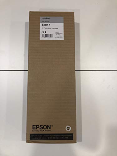 Best Value Epson C13T804700 Ink Cartridge - Light Black