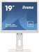 iiyama ProLite B1980D-W1 - LED monitor - 19" - 1280 x 1024 @ 60 Hz - TN - 250 cd/mï¿½ - 1000:1 - 5 ms - DVI, VGA - matt white