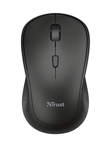 TM250 Optical 1600 DPI Wireless Mouse