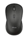 TM250 Optical 1600 DPI Wireless Mouse