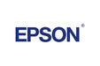 Best Value Epson Ink Cartridge 80 ml, Light Light Black, Genuine, Amazon Dash Replenishment Ready