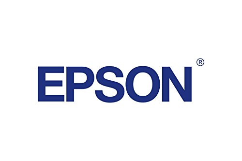 Best Value Epson Ink Cartridge 80 ml, Light Light Black, Genuine, Amazon Dash Replenishment Ready