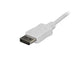 StarTech 6ft USB C to DisplayPort Cable 4K