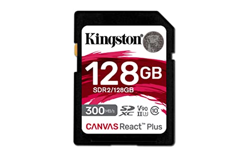 256GB CanvasRctPls SDXC UHS-II 300R/260W