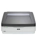 Epson Expression 12000XL Pro - Flatbed scanner - A3 - 2400 dpi x 4800 dpi - USB 2.0