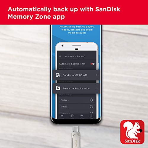 SanDisk Ultra Dual Drive Luxe - USB flash drive - 128 GB - USB 3.1 Gen 1 / USB-C