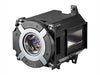 NEC NP42LP - Projector lamp