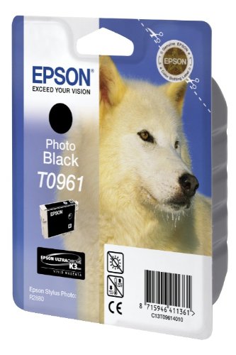 Best Value Epson C13T09614010 Ink Cartridge, Photo Black, Genuine, Amazon Dash Replenishment Ready