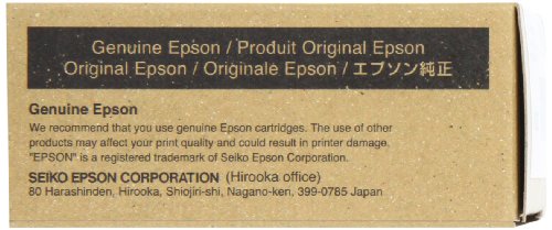 Best Value Epson Ink Cartridge 80 ml, Light Black, Genuine, Amazon Dash Replenishment Ready