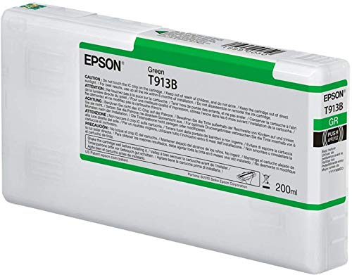 Best Value Epson C13T913B00 Ink Cartridge - Green