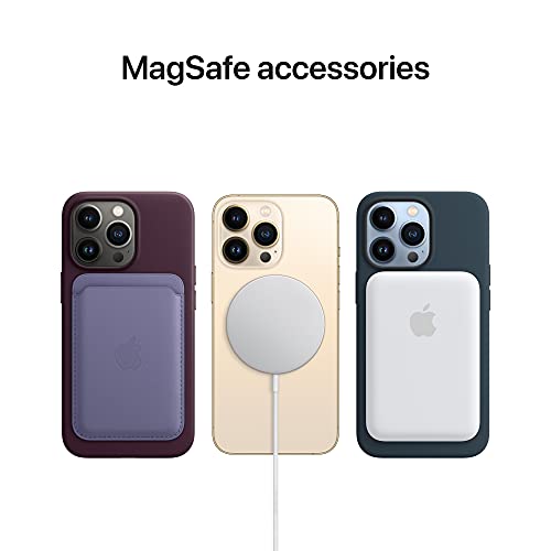 Apple - Back cover for mobile phone - with MagSafe - MagSafe compatibility - silicone - blue fog - for iPhone 13 Pro Max