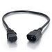 C2G Computer Power Cord Extension - Power extension cable - IEC 60320 C13 to IEC 60320 C14 - AC 250 V - 0.5 m