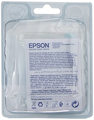 Epson T1002 - 11.1 ml - cyan - original - blister with RF/acoustic alarm - ink cartridge - for Stylus SX510, SX515, SX600, SX610, Stylus Office B1100, B40, BX310, BX600, BX610