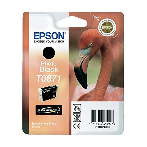 Epson T0871 - Print cartridge - 1 x photo black