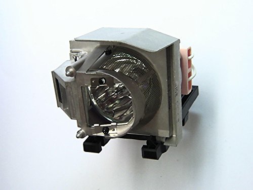 Best Value Acer MC.JG111.004 Lamp Module for U5213/U5313W Projector