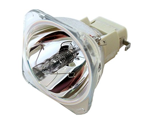 BenQ - Projector lamp - 350 Watt - 2000 hour(s) (standard mode) / 2500 hour(s) (economic mode) - for BenQ PU9730, PW9620, PX9710