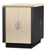 NetShelter CX 18U Secure Soundproofed Server Room in a Box Enclosure International