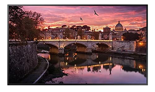 Samsung QB75R-B 75 Inch Large Format Display 4k Ultra HD