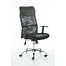 Vegalite Executive Mesh Chair With Arms EX000166