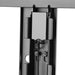 NewStar TV/Monitor Wall Mount (fixed) for 37"-75" Screen - Black - Wall mount for LCD / plasma panel - black - screen size: 37"-75"