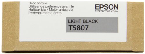 Best Value Epson Ink Cartridge 80 ml, Light Black, Genuine, Amazon Dash Replenishment Ready