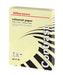 Best Value Coloured Paper Yellow A3 80gsm