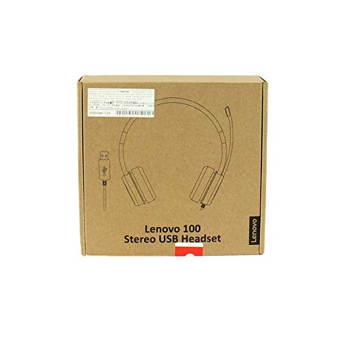 Lenovo 100 Wired Usb Headset