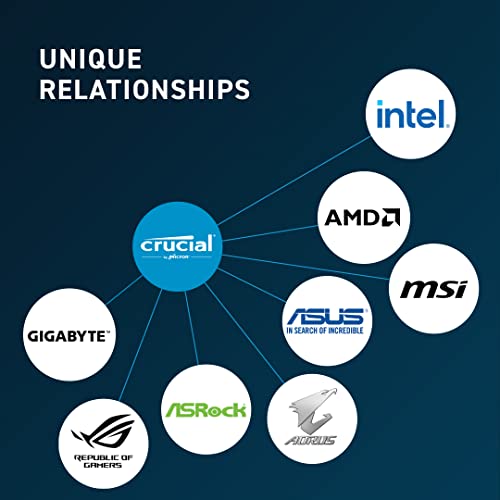 Crucial - DDR5 - module - 32 GB - DIMM 288-pin - 4800 MHz / PC5-38400 - CL40 - 1.1 V - unbuffered - non-ECC