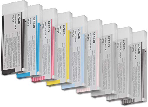 Epson T6065 - Print cartridge - 1 x light cyan