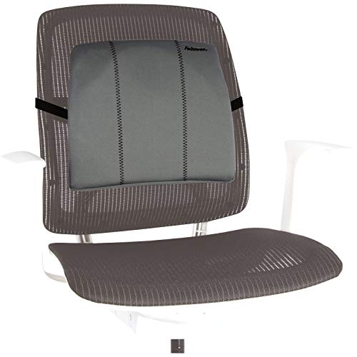 Best Value Fellowes Slimline Back Support for Office Chair