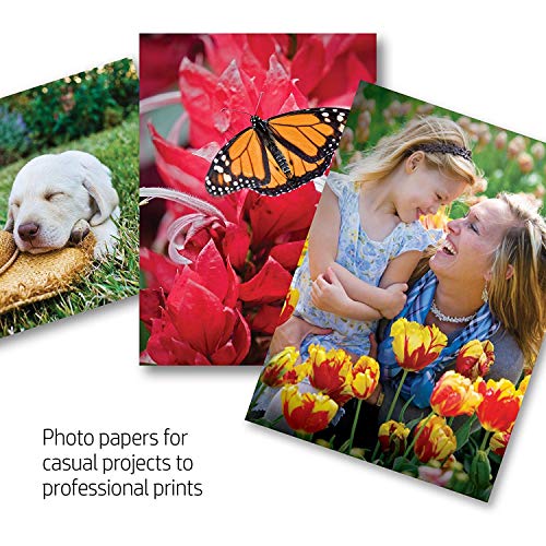 HP Premium Plus Photo Paper - Glossy - A4 (210 x 297 mm) - 300 g/m - 20 sheet(s) photo paper - for Deskjet 2622, Envy 50XX, 76XX, Officejet 52XX, 80XX, Photosmart B110, Wireless B110