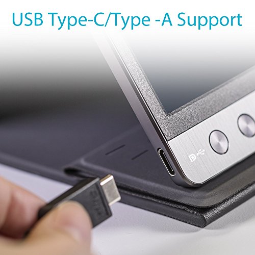 MB16AC 15.6 USB IPS Portable