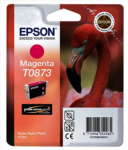 Epson T0873 - Print cartridge - 1 x magenta