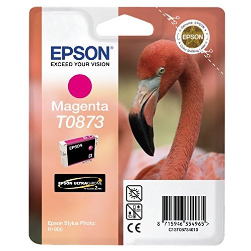 Epson T0873 - Print cartridge - 1 x magenta