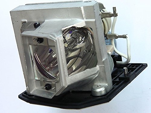 Best Value Optoma Lamp Module for EH300/HD25/HD25-LV/HD2500/HD30/HD30B Projectors