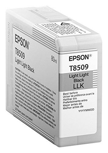 Best Value EPSON Ink Cartridge, Light Black, Genuine, Amazon Dash Replenishment Ready