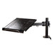 Best Value Newstar NOTEBOOK-D100 Desk Mount (clamp) for Laptop, Height Adjustable - Black